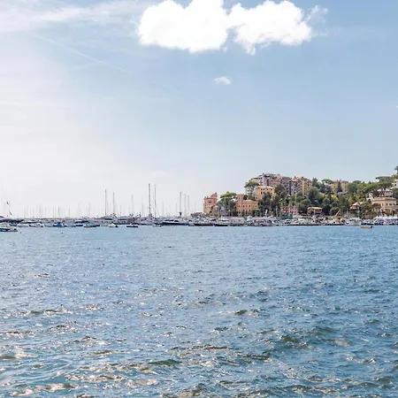 Апартаменты Mimosa